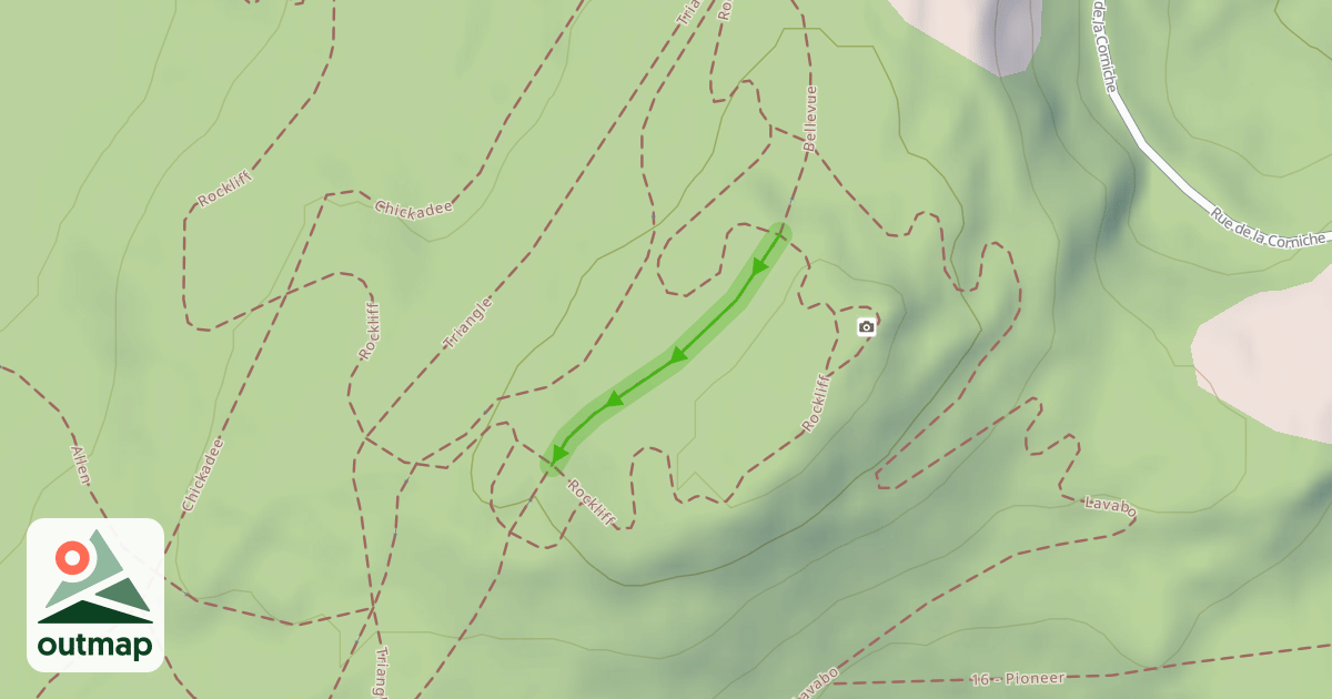 Map of Bellevue