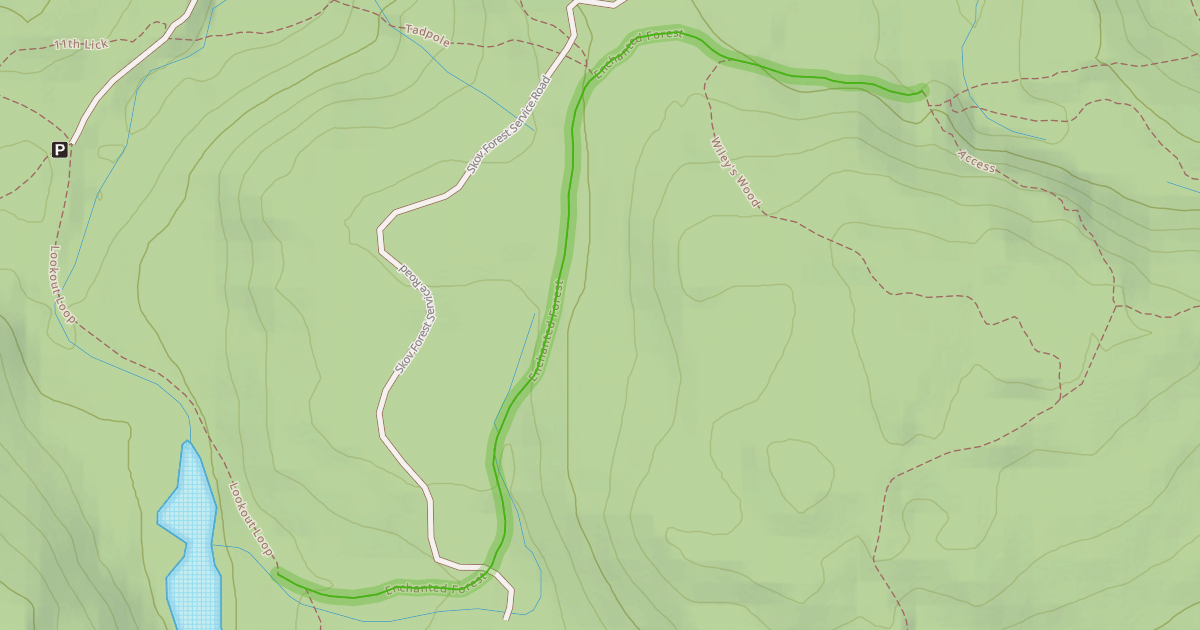 Map preview of Enchanted Forest