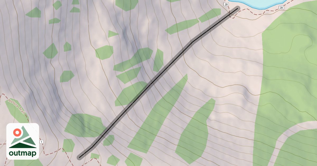 Map of Whiplash