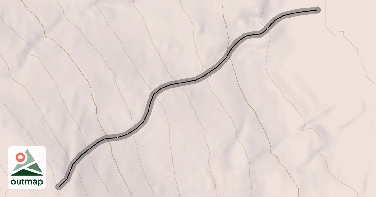Map of Honey Bun