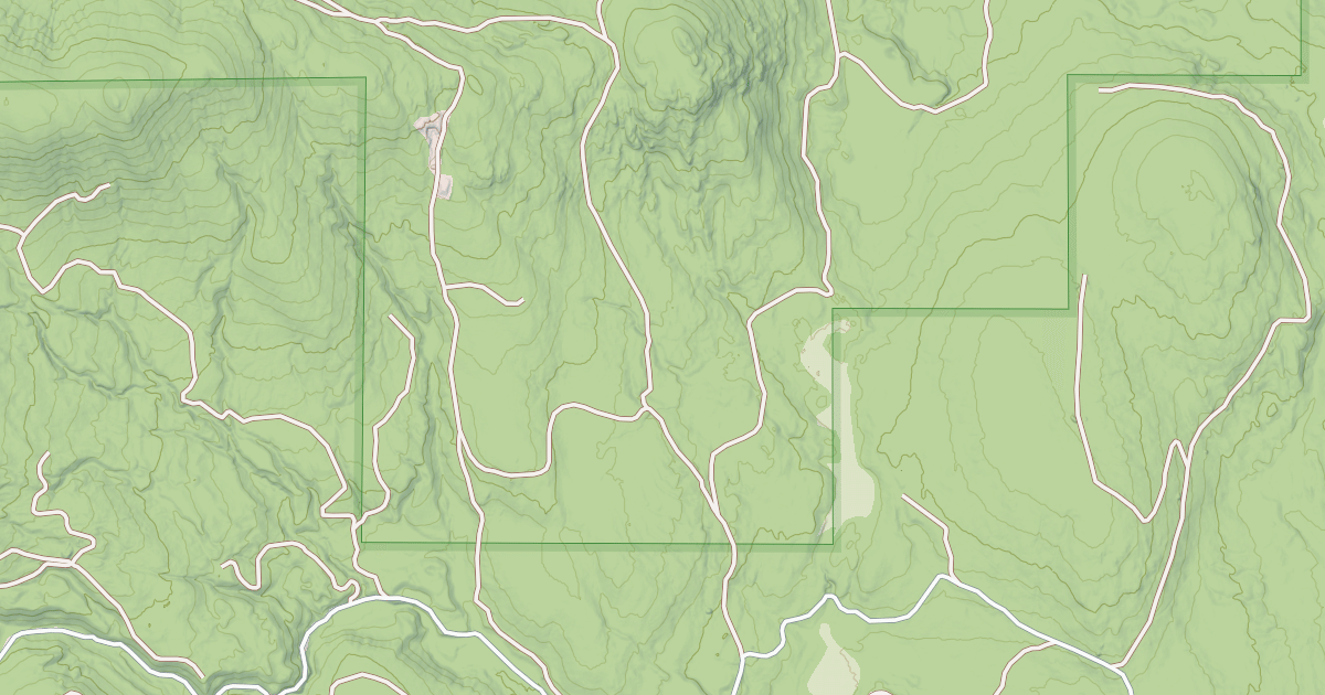 Map preview of USFS Motor Vehicle Use Map Roads {868EC388-5075-417C-9C53-C259290A773D}