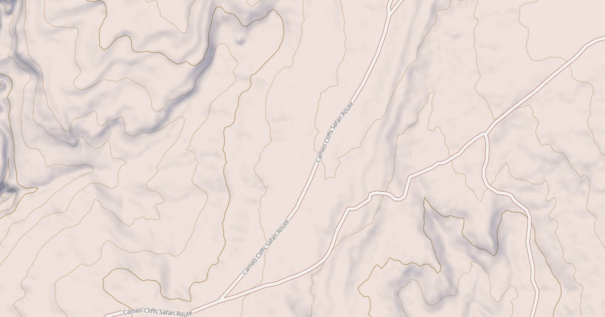 Map preview of BLM National GTLF Public Motorized Roads 07d16616-22e3-47b7-a999-56649efa69f8