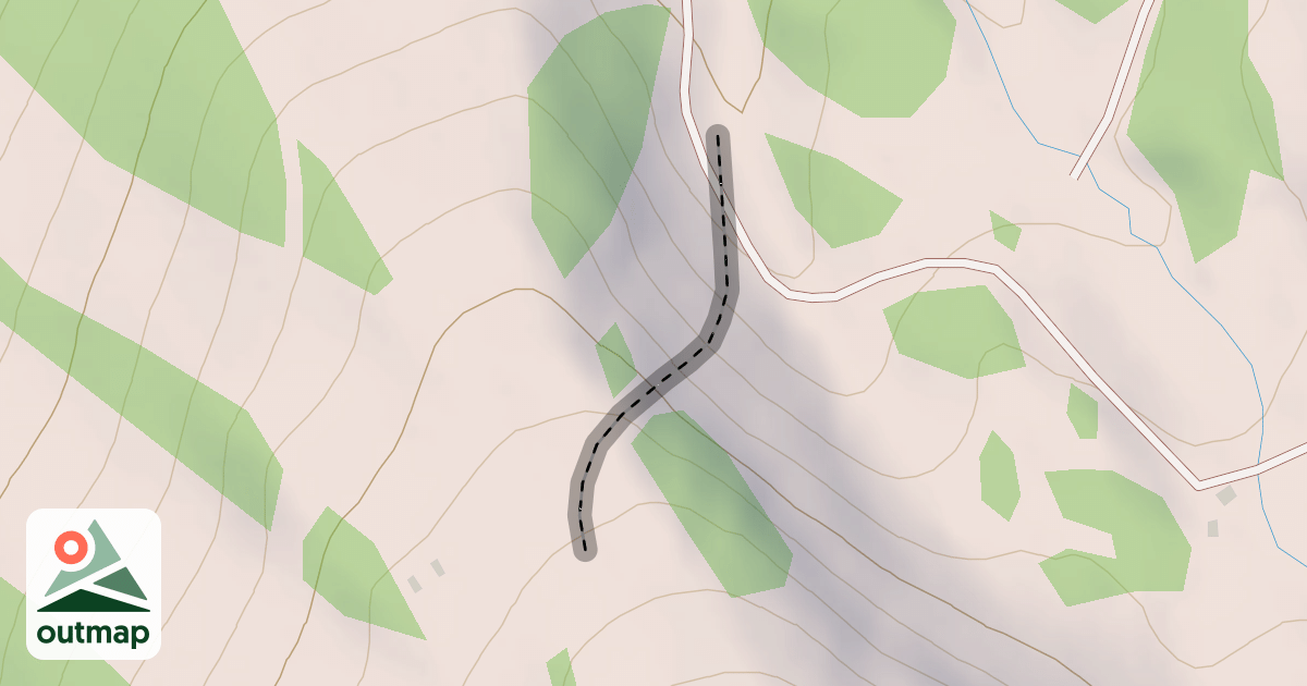 Map of Tree Fall