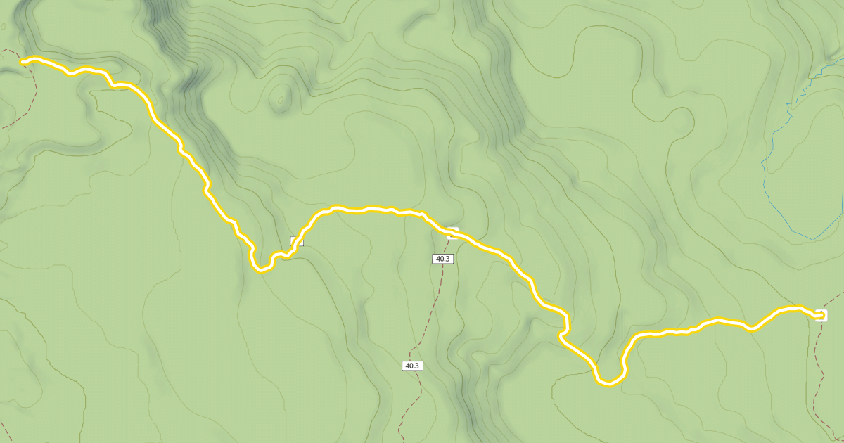 Map preview of Flagline Trail #41
