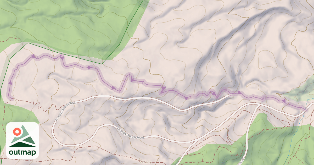 Map of Log Rhythm