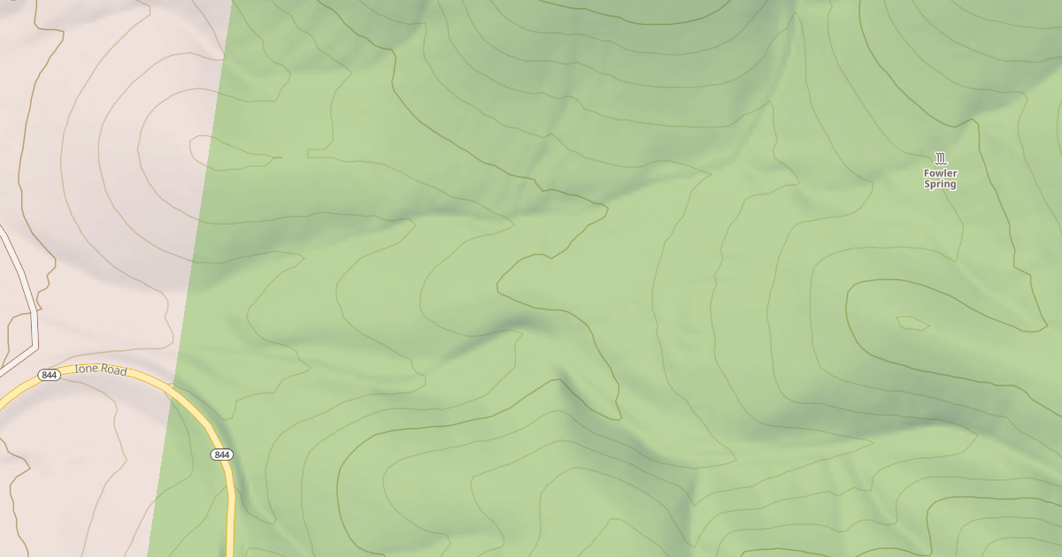 Map preview of FOWLER SPRING
