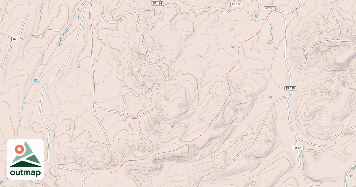 Map of USFS National Forest System Roads {BDBDEF07-024A-4F9B-BF8D-106DAD1B7F09}