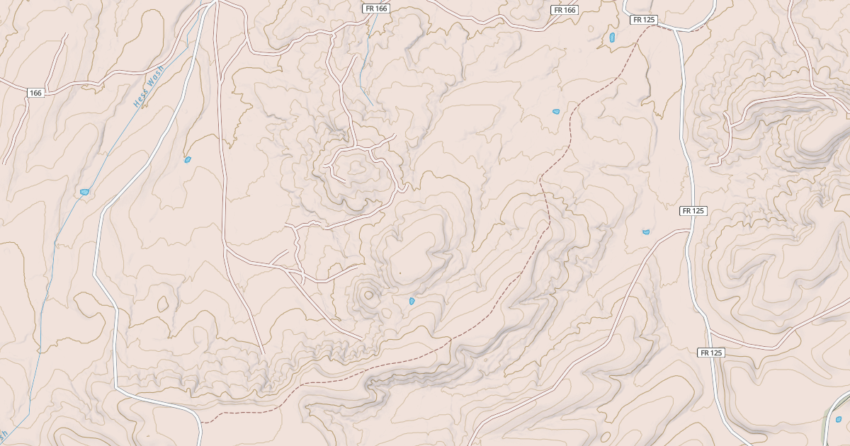 Map preview of USFS National Forest System Roads {BDBDEF07-024A-4F9B-BF8D-106DAD1B7F09}