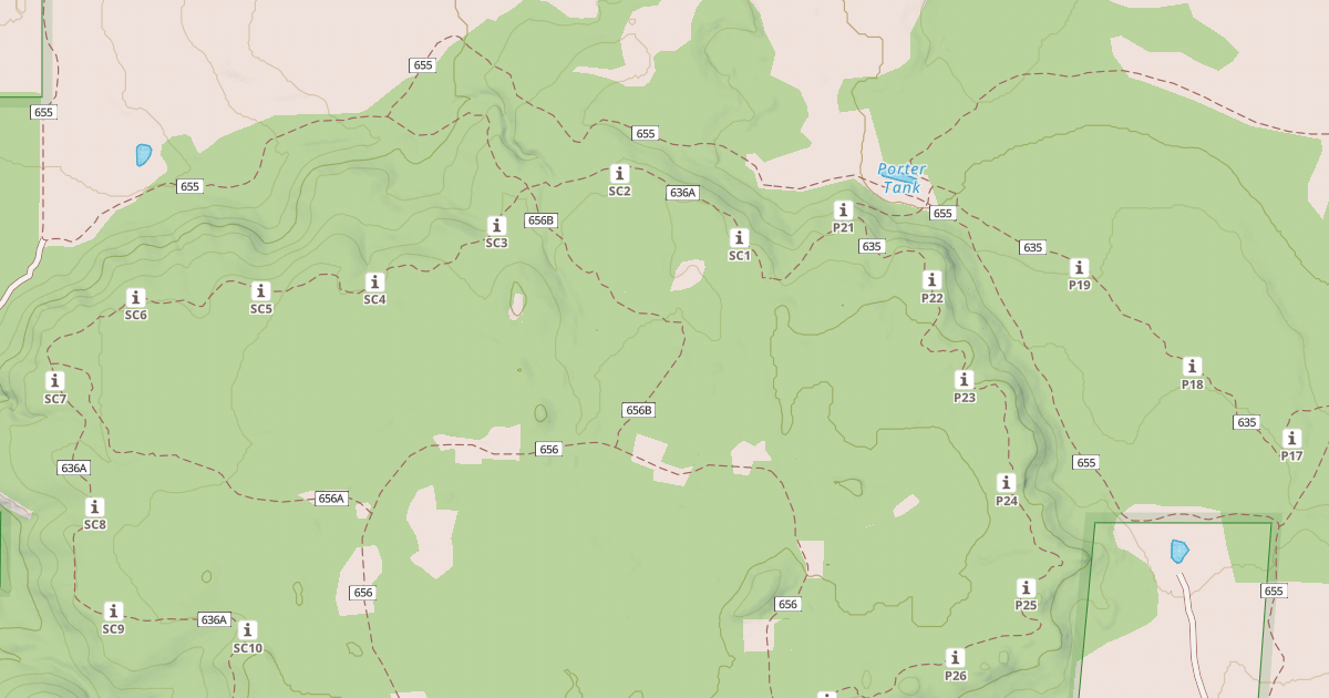 Map preview of USFS National Forest System Roads {A03A1CC2-7799-4588-9495-42C9AE7BA931}