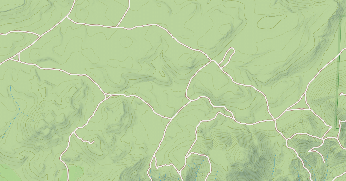Map preview of USFS National Forest System Roads {69E78B8C-8F9A-417A-B5ED-E908E9824416}