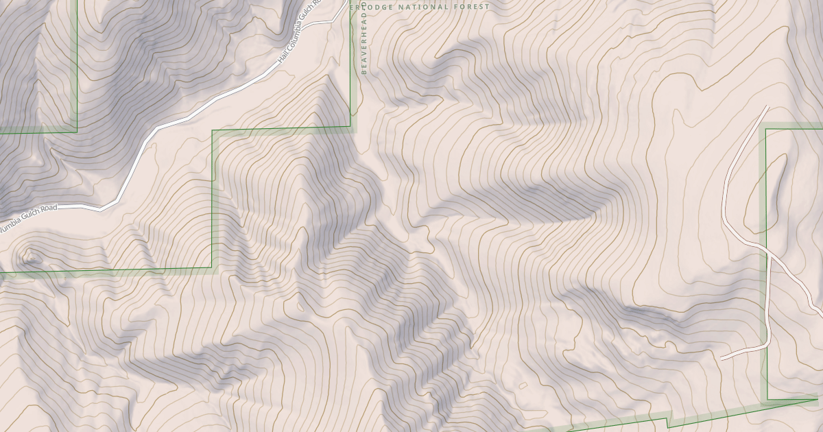 Map preview of USFS National Forest System Roads {9B34052D-5F65-4E26-B0F7-00DD6BA3F34F}