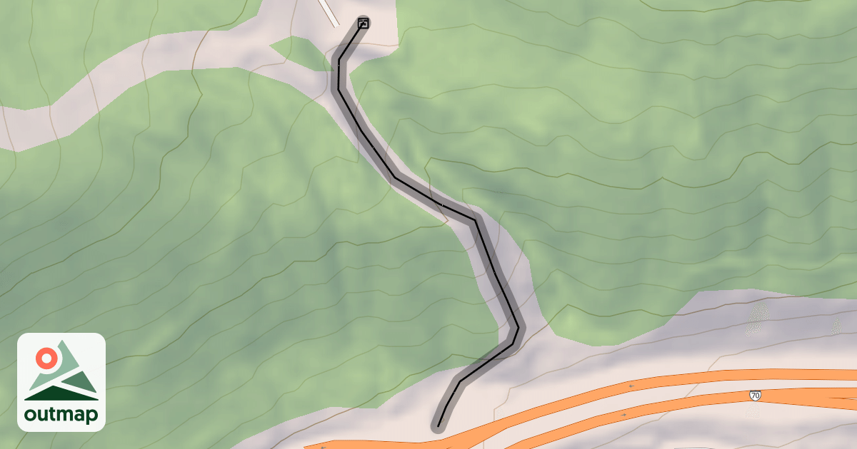 Map of The Face