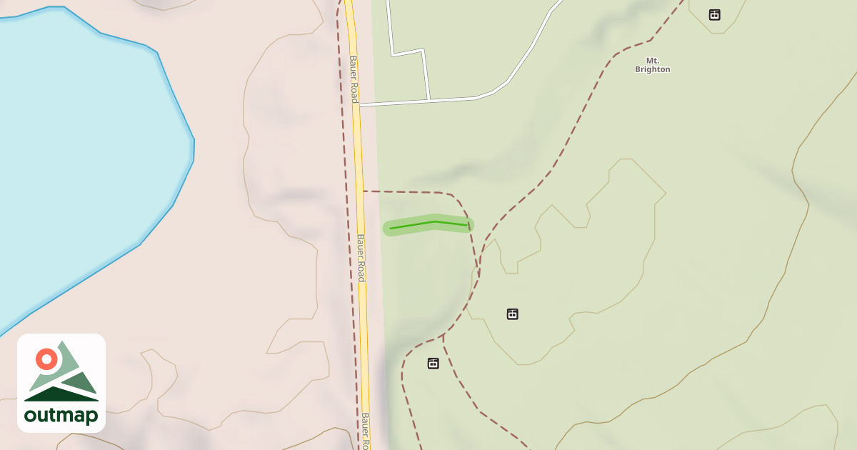 Map of Bunny
