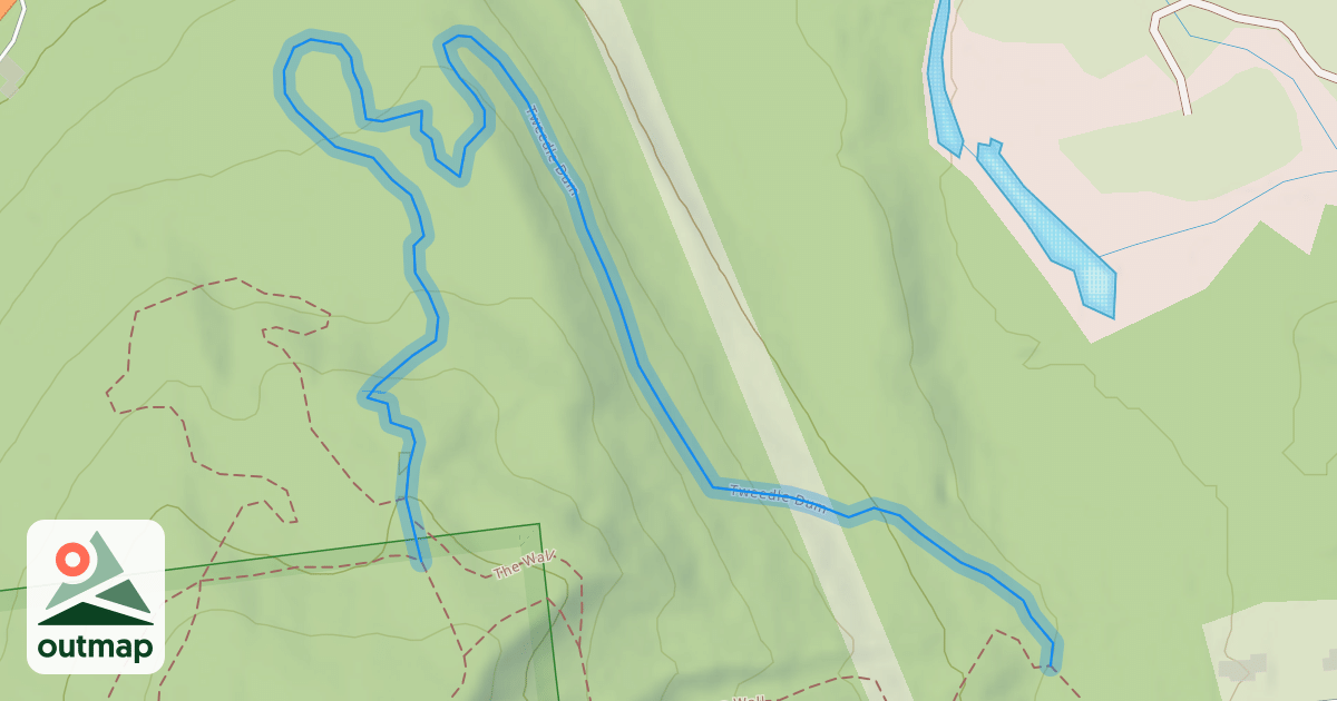 Map of Tweedle Dum