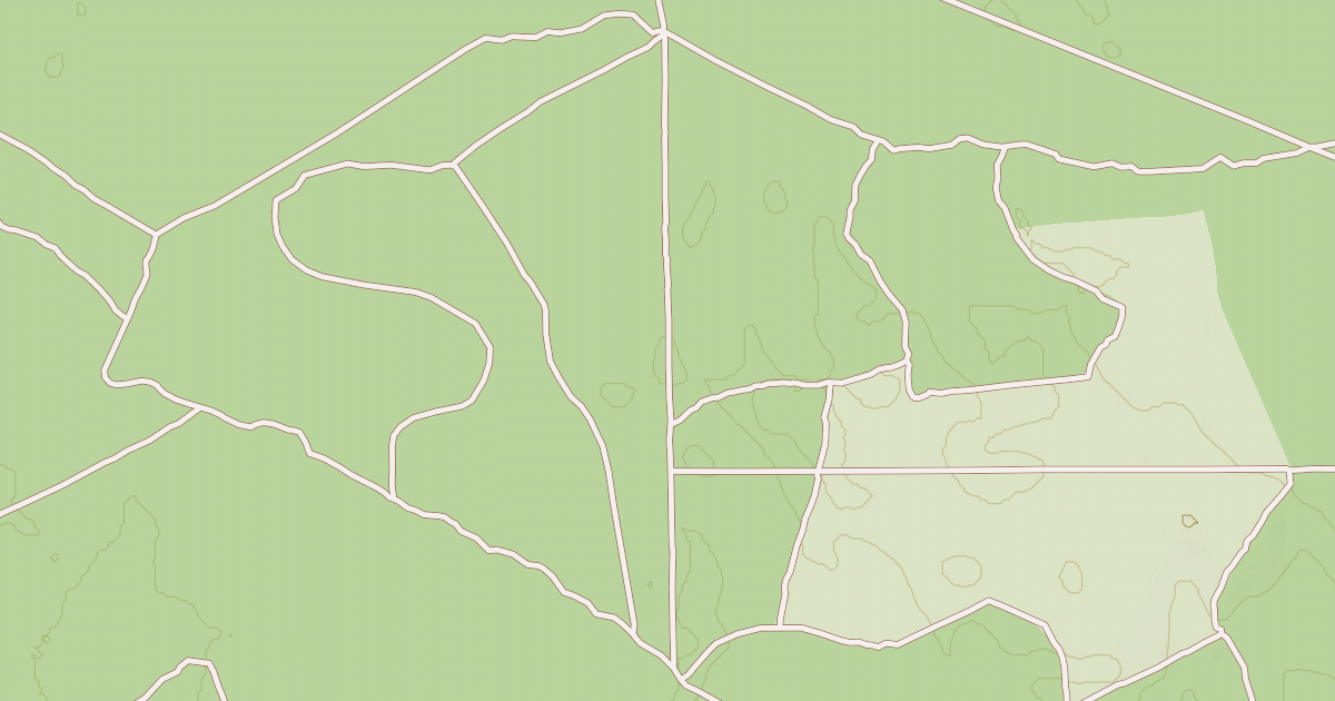 Map preview of USFS Motor Vehicle Use Map Roads {15FB0243-5BE6-4484-ABE4-56CD75C78247}