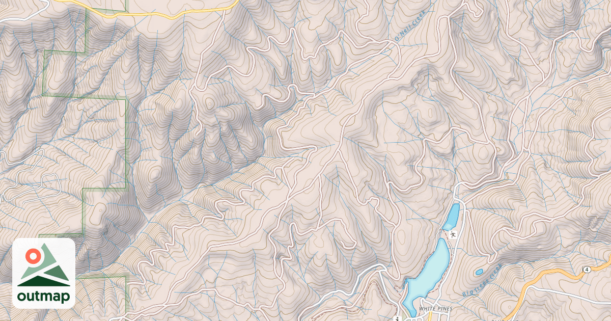 Map of USFS Motor Vehicle Use Map Roads {CE741C45-4A7B-4AFC-BFDB-C1C0D886B028}