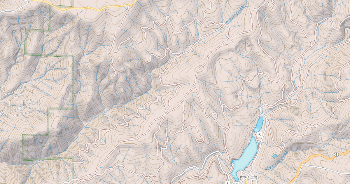 Map preview of USFS Motor Vehicle Use Map Roads {CE741C45-4A7B-4AFC-BFDB-C1C0D886B028}