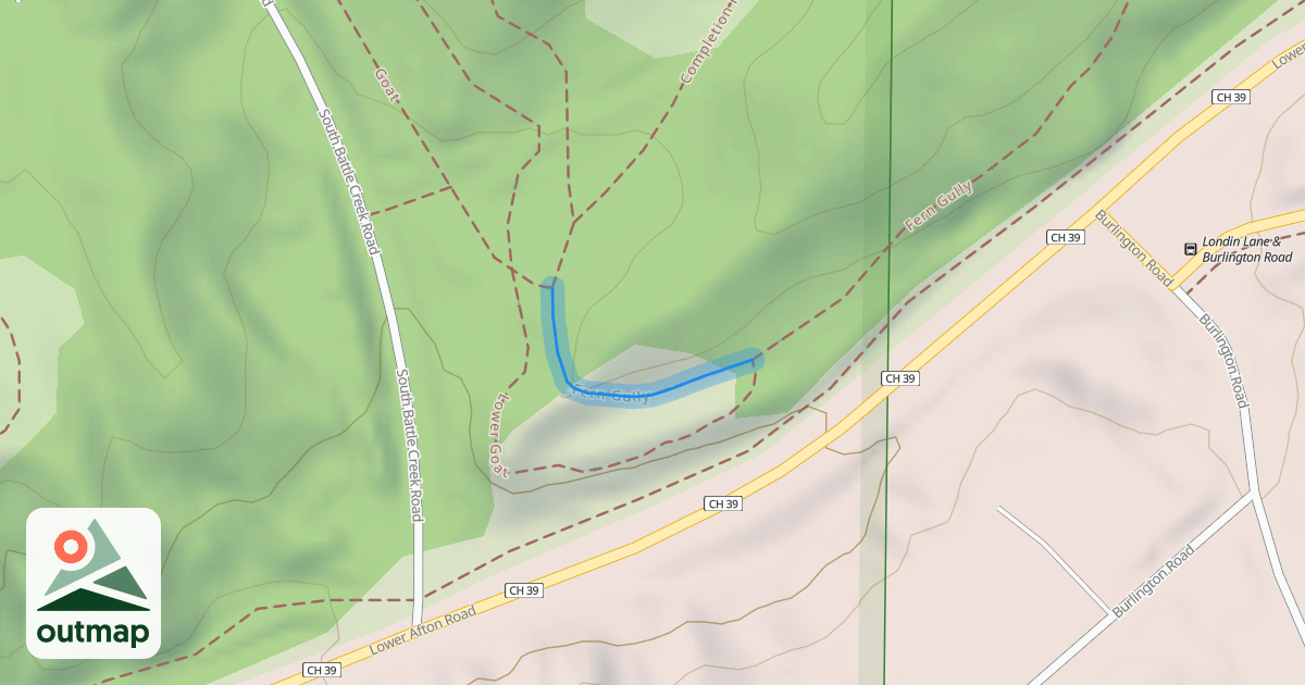 Map of Fern Gully