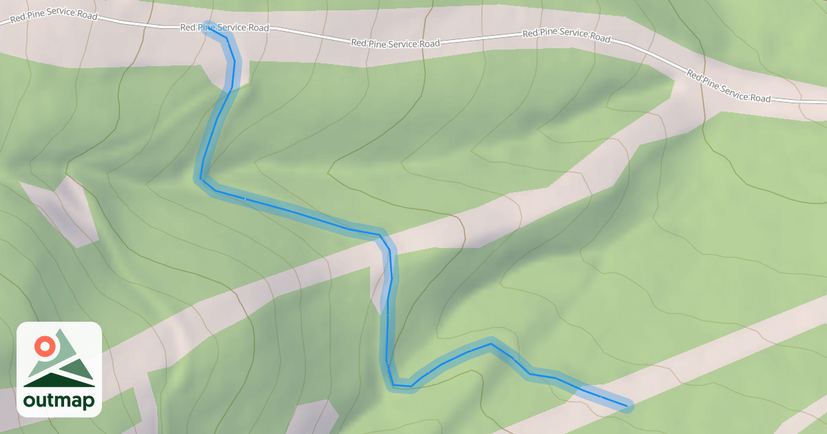 Map of Chicane Bypass