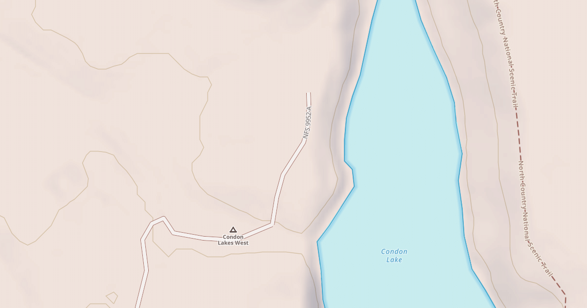 Map preview of CONDON LAKE CAMP LOOP