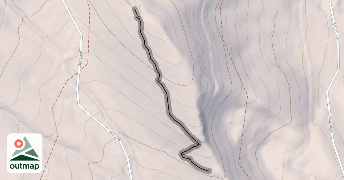 Map of 704 Bamm Bamm