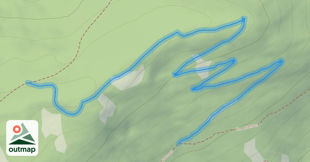 Map of The Upper Avenues