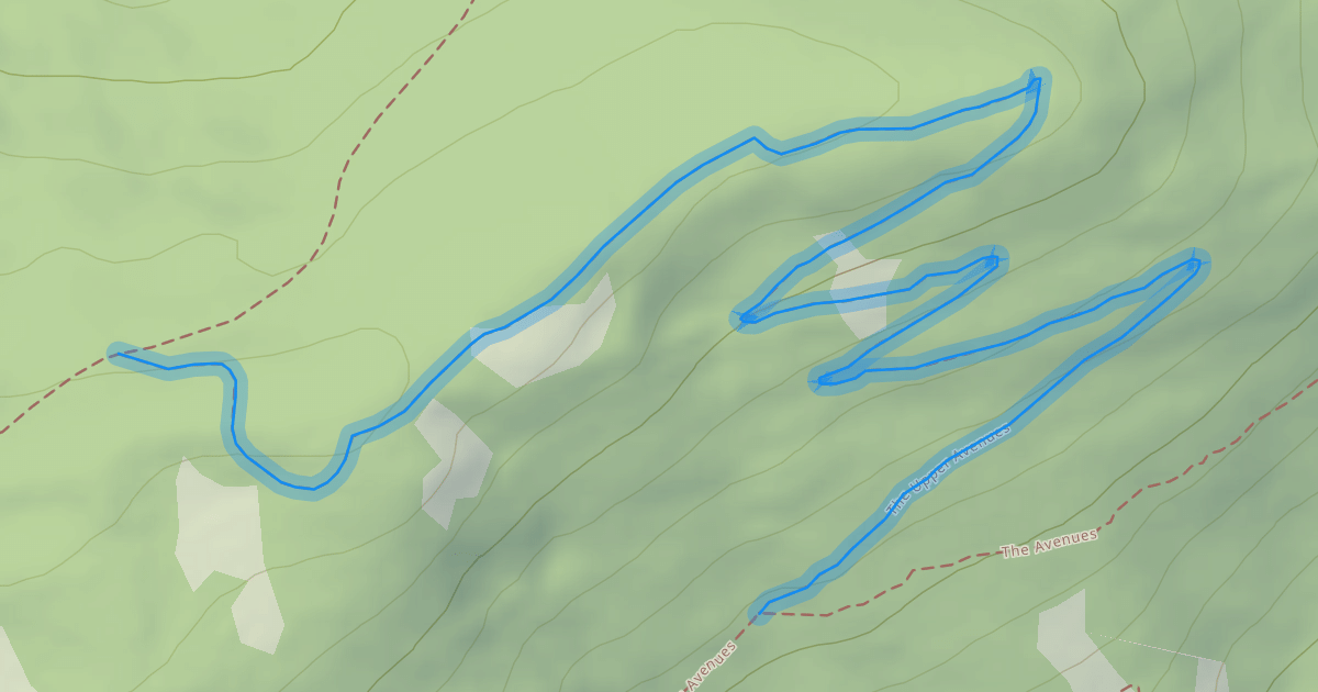 Map preview of The Upper Avenues