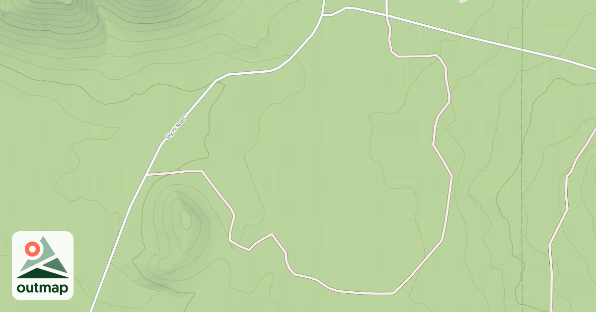 Map of USFS National Forest System Roads {5710F41F-E31D-447A-87F2-7E20124A3C8A}