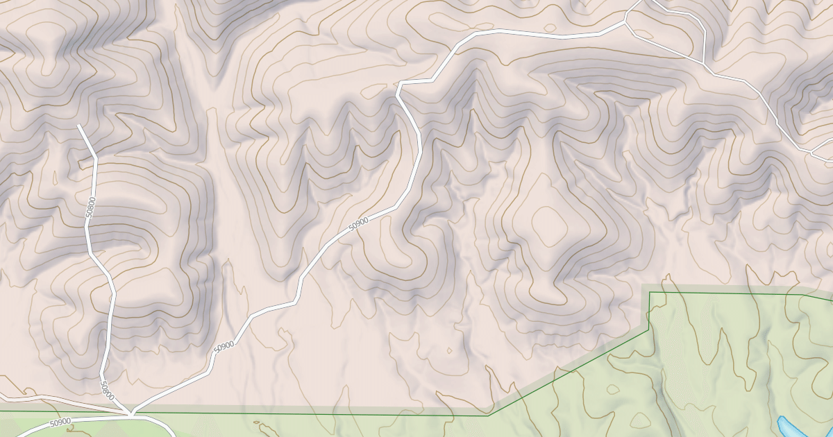 Map preview of USFS National Forest System Roads {01E5C151-C001-4AD4-A4FC-EAAE7B19F6DB}