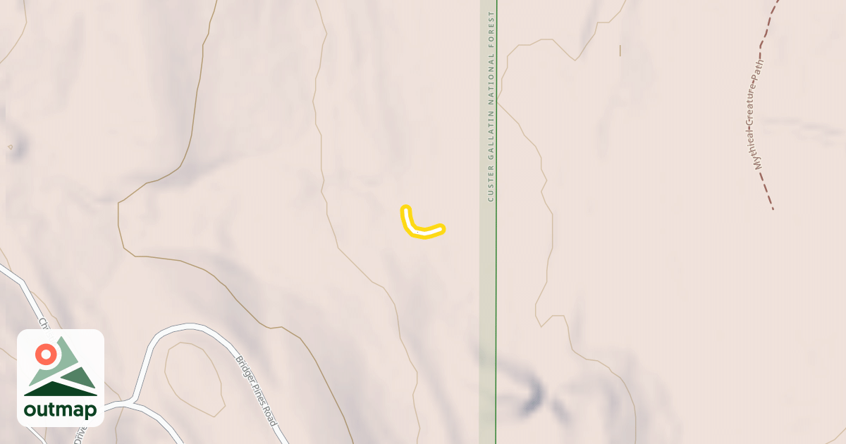 Map of Dr Scholl's Size 8