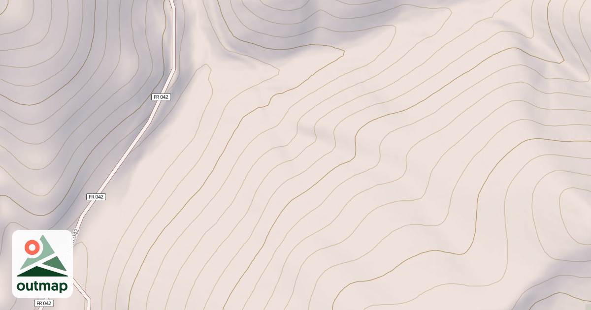Map of USFS National Forest System Roads {2451D7D8-204A-4A69-B5C3-9A2963055B10}
