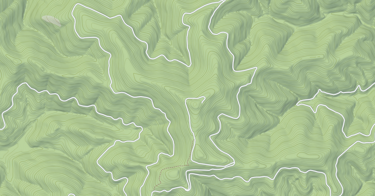 Map preview of USFS Motor Vehicle Use Map Trails 11852