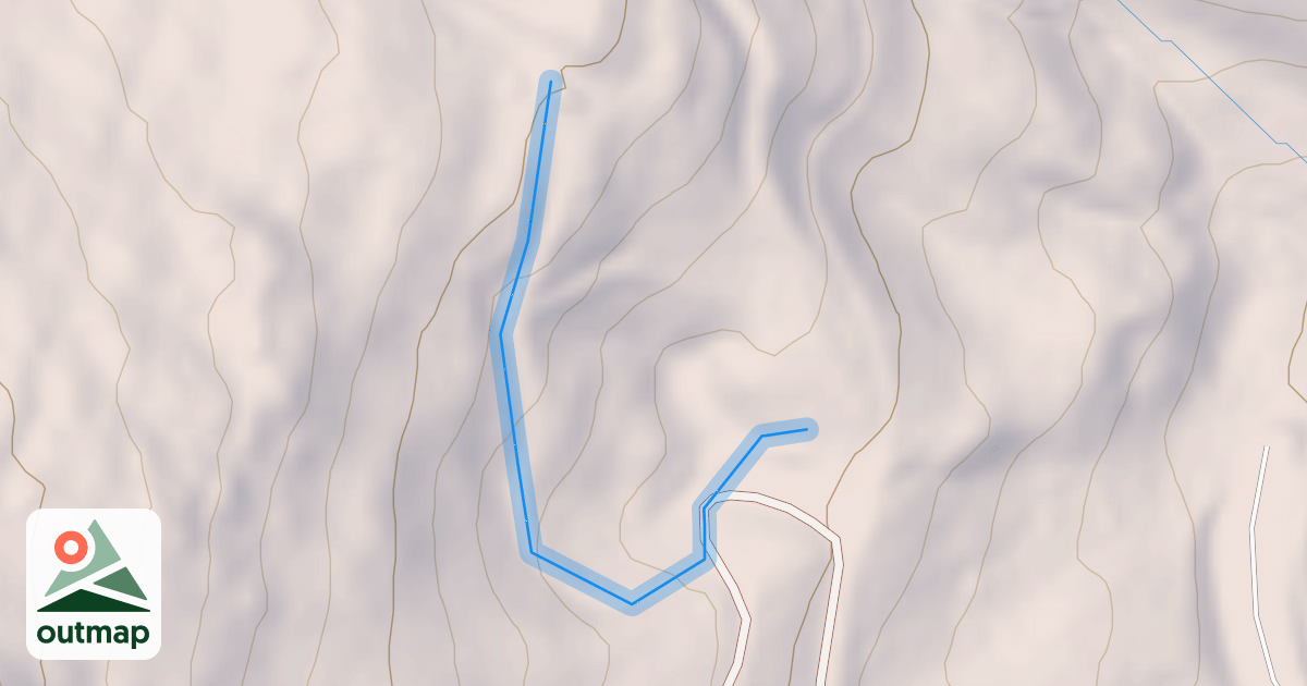 Map of Snow Shoe