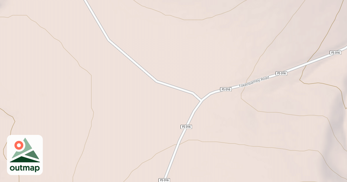 Map of BLM National GTLF Public Motorized Roads 04292cf4-ac7b-4ece-9dc2-cd6c34cbfb96