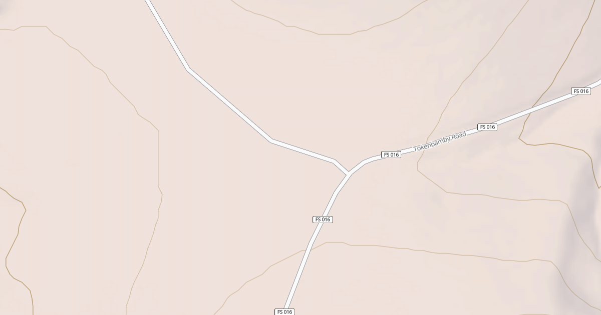 Map preview of BLM National GTLF Public Motorized Roads 04292cf4-ac7b-4ece-9dc2-cd6c34cbfb96