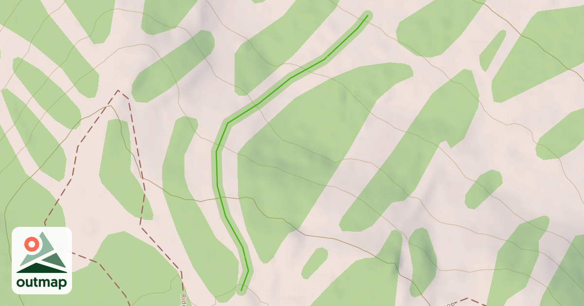 Map of Placid