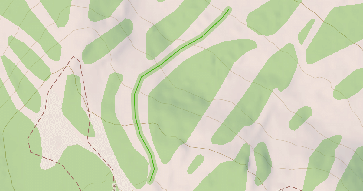 Map preview of Placid