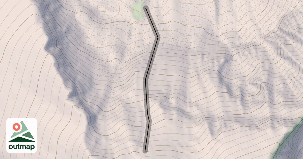 Map of Rips