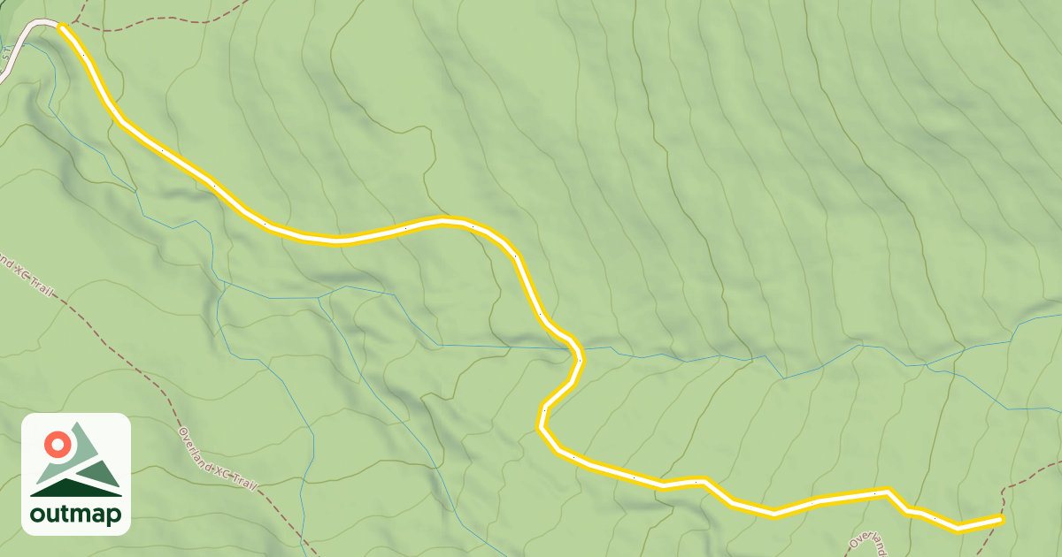 Map of Forest Road