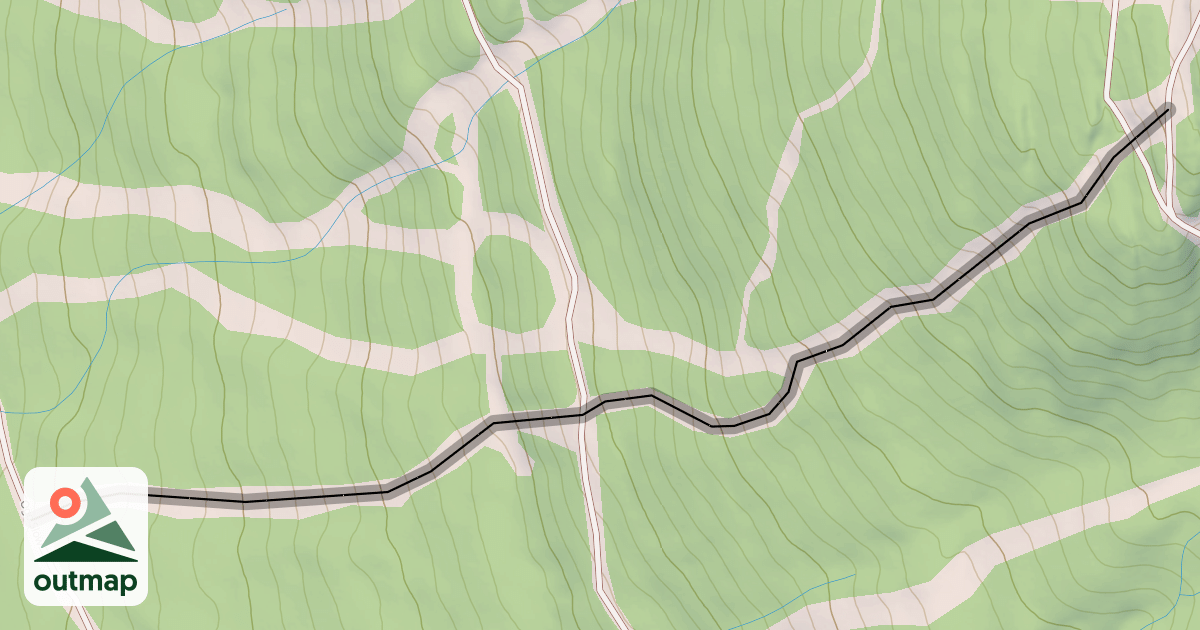 Map of Black Jack