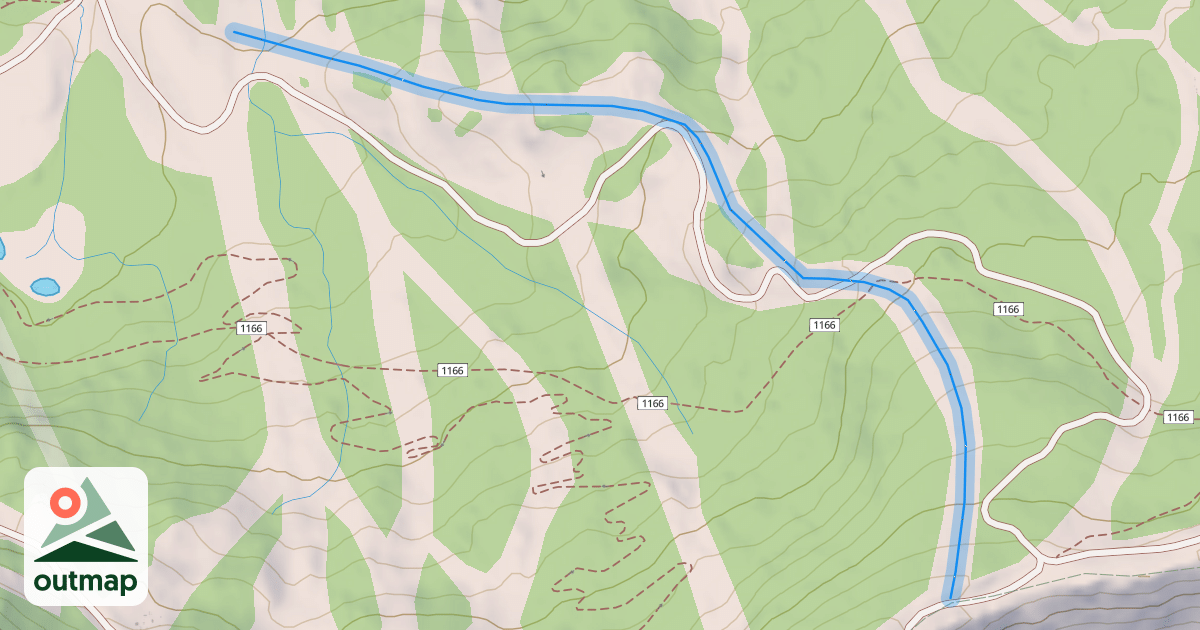 Map of Pioneer
