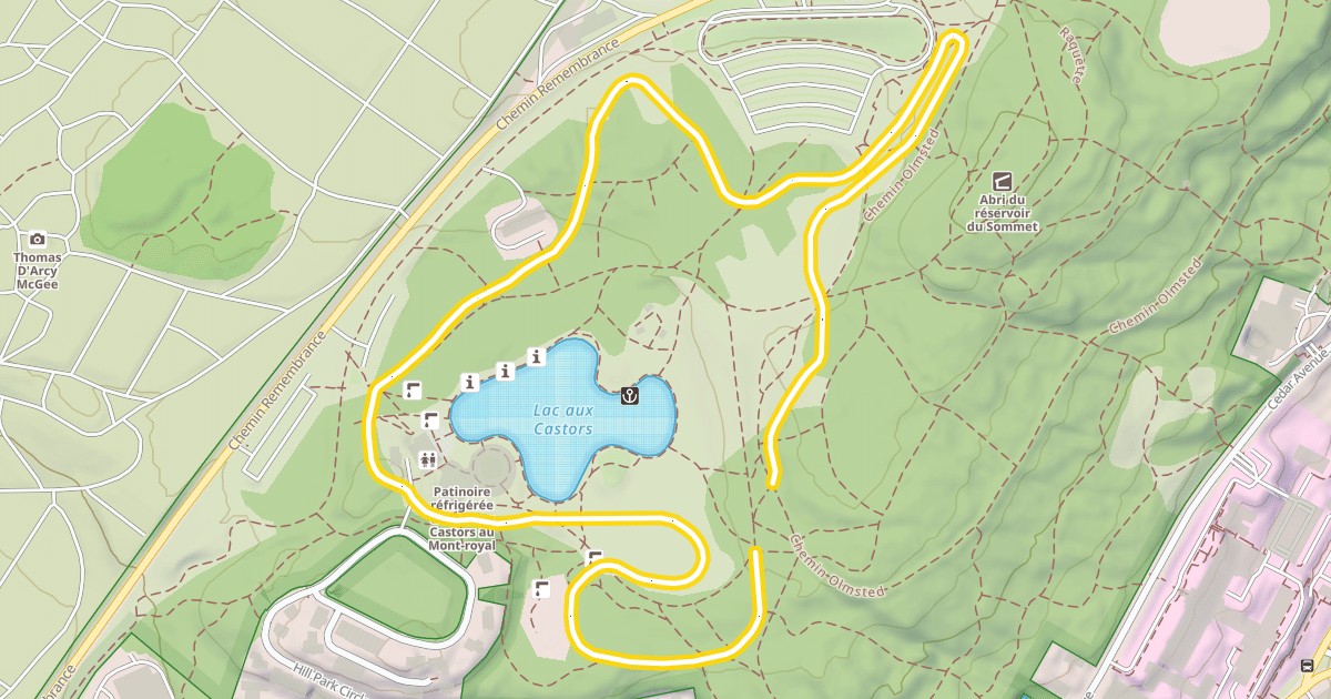 Map preview of 6