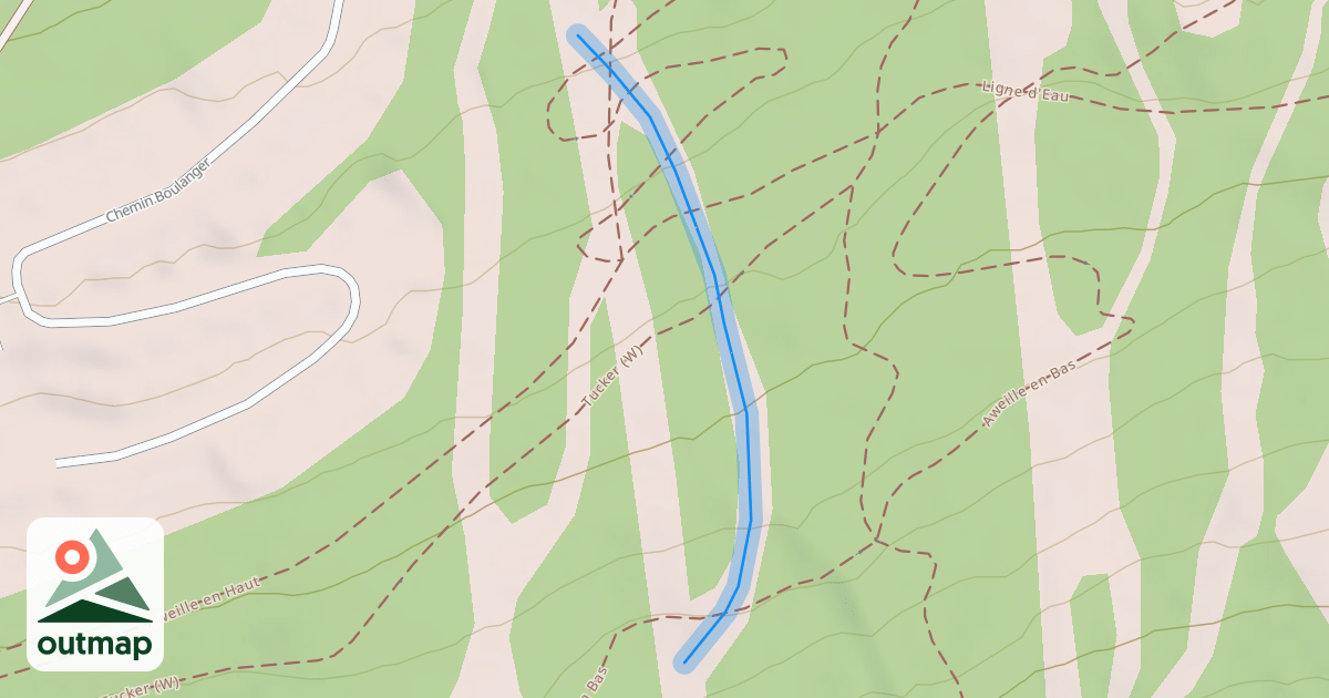 Map of 3 Startlet
