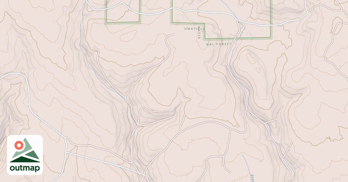 Map of USFS National Forest System Roads {23507D05-B5A8-4431-A18D-71F524438C86}