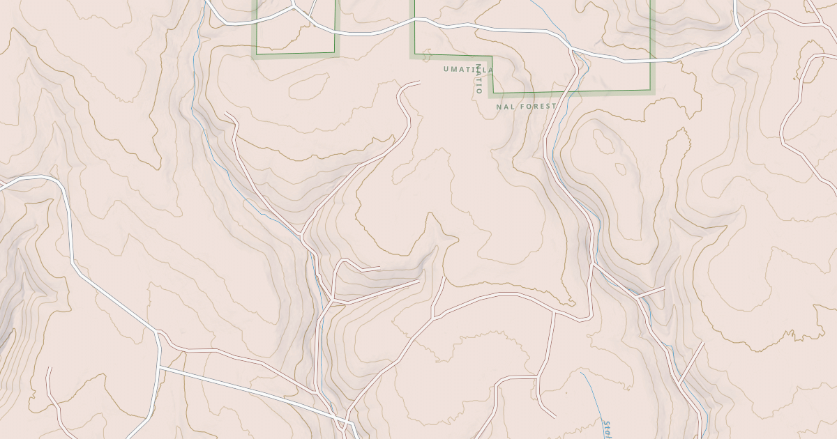 Map preview of USFS National Forest System Roads {23507D05-B5A8-4431-A18D-71F524438C86}