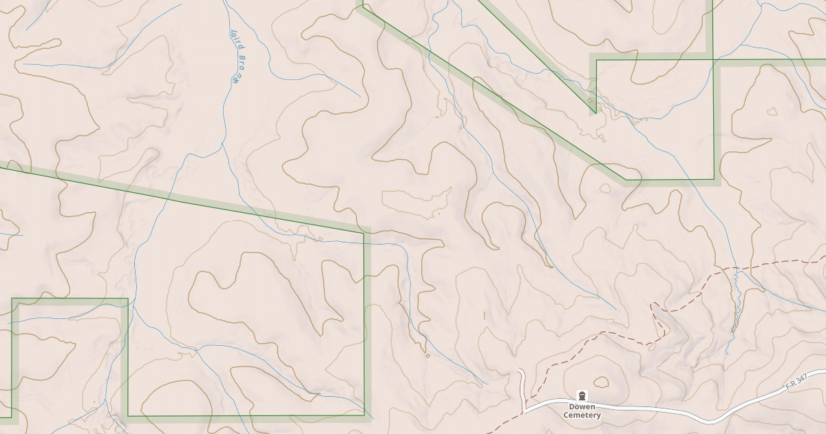Map preview of USFS Motor Vehicle Use Map Roads {2F86630F-4A3E-48E0-A4C6-D398AD5A8488}