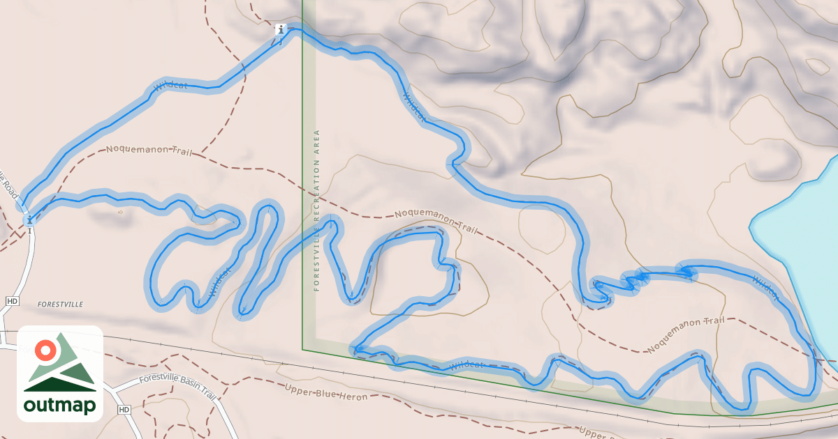 Map of Wildcat