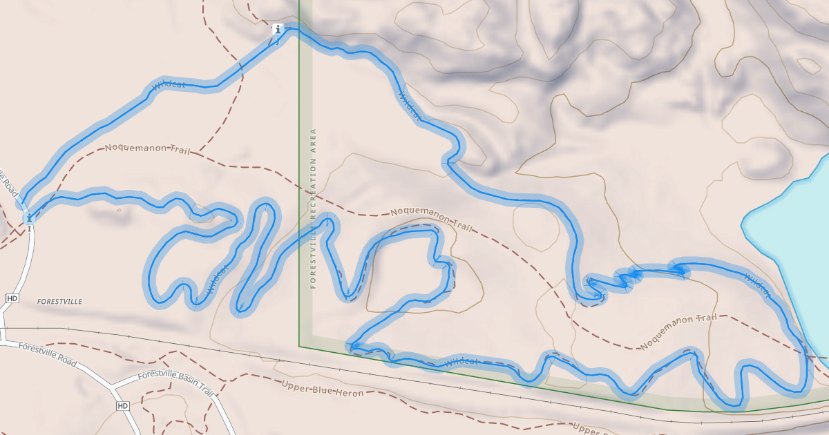 Map preview of Wildcat