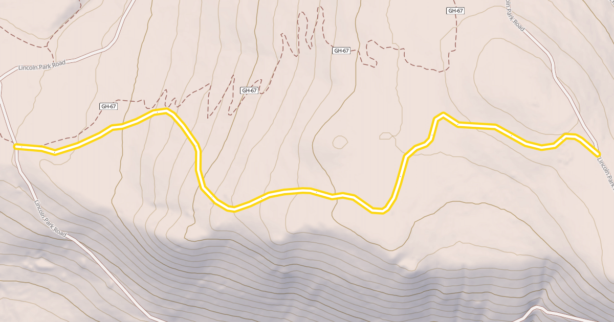 Map preview of Forest Queen Road