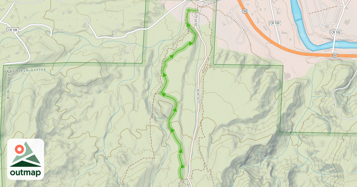 Map of Dead Bird